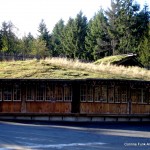 Sod roof for goat only dining