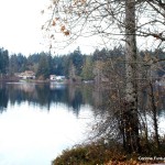 Calm waters on Shawnigan Lake