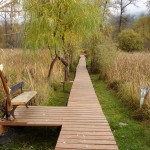 arts-quest-rabi'a-boardwalk