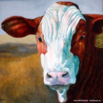 Number 37 Cow