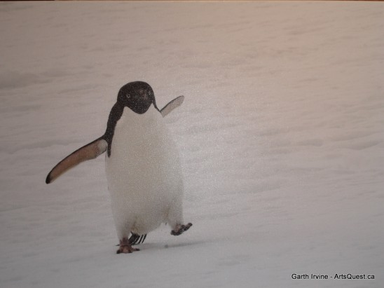 arts-quest-garth-irvine-penguin