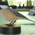 "Chickadee"