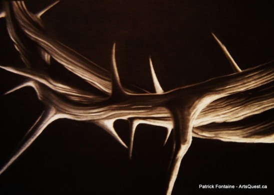 arts-quest-patrick-fontaine-thorns