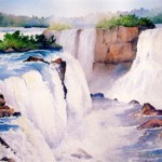 arts-quest-Donna- Bonin-iguazu