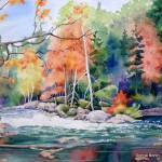 arts-quest-Donna-Bonin-oxtongue-rapids