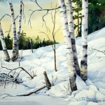 arts-quest-donna- bonin-frozen-shore