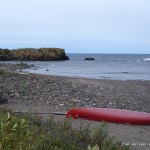 arts-quest-ellen-van-laar-backyard-view