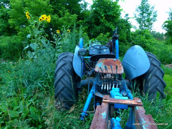 arts-quest-julian-hall-blue-ferguson-tractor-with-sunflowers