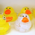 arts-quest-darren-petersen-duckies