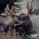 arts-quest-karen-singleton-canvas-painting-moose