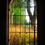 arts-quest-paul-bailey-corfu-scenic3-copy_0