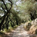 arts-quest-paul-bailey-corfu-scenic8-copy_0