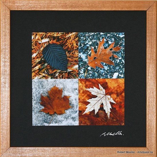 Robert Moeller – Capturing Nature in Photography and Glass Robert Moeller – Capturing Nature in Photography and Glass