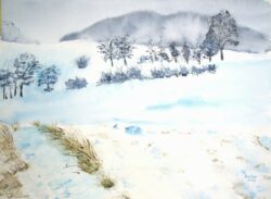 Winter Fields